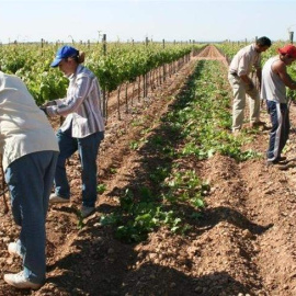 Trabajadores del campo. E.P.