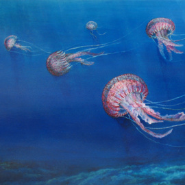 Una ilustración de uno de los 200 tipos de medusas que hay en España, la 'Pelagia noctiluca'.