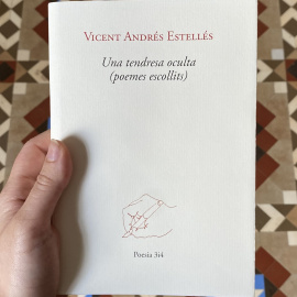 Foto del llibre 'Una tendresa oculta (poemes escollits)'