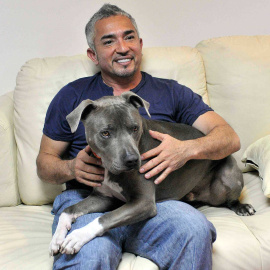 En "encantador de perros", César Millán, en una foto de archivo. EFE