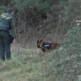 Agente de la Guardia Civil junto a un perro rastreando la zona . GUARDIA CIVIL