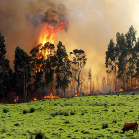 Incendio en las proximidades de Naves (Llanes) | EFE/ José Luis Cereijido