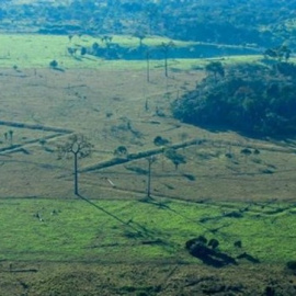 Un avión no tripulado observará zonas del Amazonas. Proyecto GEOGLIFOS