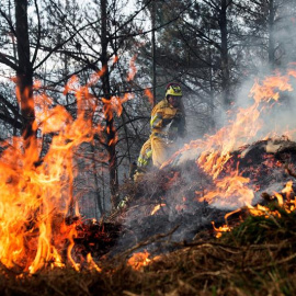 Agentes de montes de Cantabria apagan un incendio forestal este miércoles en los montes de la localidad cántabra de Vargas. EFE/ Pedro Puente Hoyos