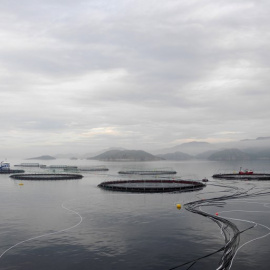 Piscifactoría para la cría de salmones de la firma noruega Leroy, en la bahía de Hitra, cerca de Trondheim. AFP/Céline Serrat