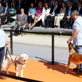 Dos instructores de la Fundación ONCE del Perro Guía realizan una demostración como parte de los actos del 25 aniversario de la organización, en un acto en el que han estado presentes, entre otras personalidades, la reina Sofía , el preside