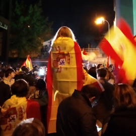 Simpatizantes de Vox celebran en la sede del partido de Santiago Abascal los resultados de las elecciones generales del 10-N. / HENRIQUE MARIÑO