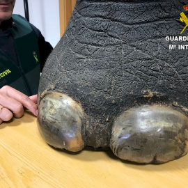 Imagen de la pata de elefante incautada por la Guardia Civil. | Guardia Civil