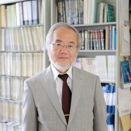 El japonés, Yoshinori Ohsumi, ganador del Nobel de Medicina de 2016. REUTERS