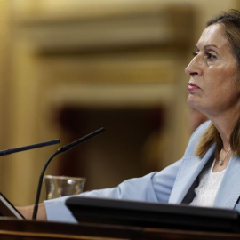 La presidenta del Congreso, Ana Pastor, durante el pleno celebrado esta tarde en la Cámara Baja. EFE/Kiko Huesca