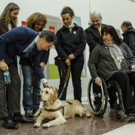 El presidente de la Comunidad de Madrid,Ignacio González, con la vicepresidenta de la ONCE, y algunos perros guía de la organización de ciegos. COMUNIDAD DE MADRID