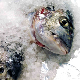 Dorada a la sal al horno.