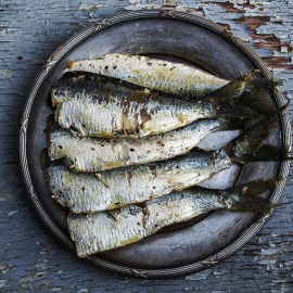 sardinas