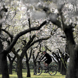 La primavera será más cálida de lo normal, tras el segundo invierno más caluroso en 55 años./REUTERS