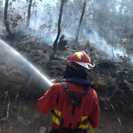 Los bomberos de Castilla y León, al límite: "Perder la vida es peor que perder el trabajo"