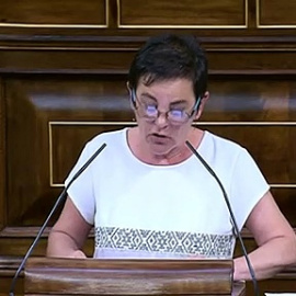 Bildu, a las víctimas de ETA: "Queremos trasladarles nuestro pesar y dolor por el sufrimiento padecido. Sentimos su dolor"