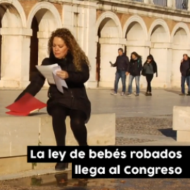 Los bebés robados llegan al Congreso