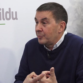 Otegi: "Nosotros somos independentistas, no aspiramos a dirigir el Estado español"