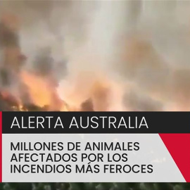 Alerta Australia