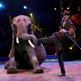 Un elefante en el Festival Internacional de Circo de Monte-Carlo celebrado en Mónaco. -EFE