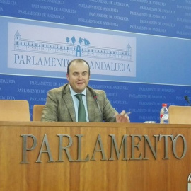 El presidente de la comisión de investigación del Parlamento de Andalucía sobre las irregularidades en los cursos de formación, Julio Díaz, de Ciudadanos. E.P.