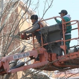 Un par de trabajadores extranjeros podan un árbol en Madrid. E.P.