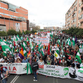 Marcha de la Dignidad en Sevilla con motivo del 28-F. E.P.