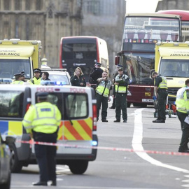 Agentes de policía británicos permanecen en guardia tras un tiroteo ante el Parlamento en Londres. - EFE