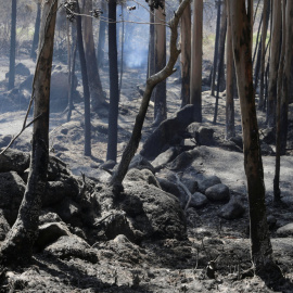 Imagen de un bosque calcinado por el incendio de Porto do son, en Pontevedra, que ha sido extinguido después de calcinar 1.600 hectáreas/REUTERS