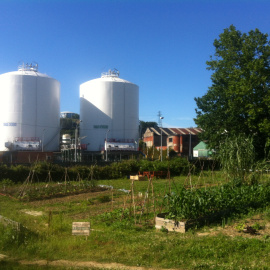 La Huertaka, huerto ecologista de Barakaldo