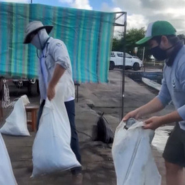 Extraen más de 2.200 kg de basuras del fondo del mar