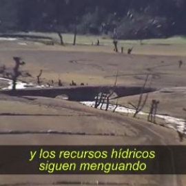 Poco que celebrar en España en el Día Mundial del Agua