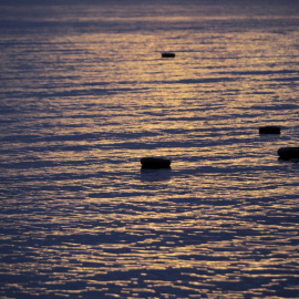 Varios neumáticos, utilizados como salvavidas por refugiados y migrantes, flotan en el mar cerca de la costa de Mytilini, en la isla de Lesbos, Grecia. EFE/Orestis Panagiotou