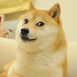 Kabosu, el perro protagonista del meme Doge.