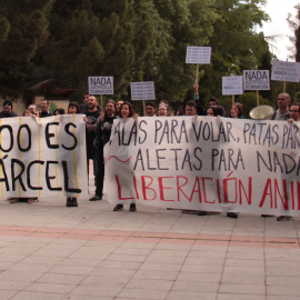 Protesta animalista