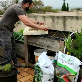 Tu huerto en casa: cómo tener tus propias hortalizas en este confinamiento