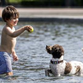 Un niño tienta a un perro con una pelota de tenis mientras juega en un estanque en Museumplein en Ámsterdam el 21 de mayo de 2020,