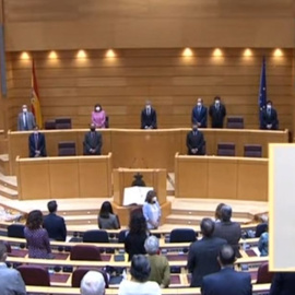 El emocionante minuto de silencio en el Senado como homenaje a las víctimas de violencia machista