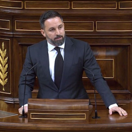 Santiago Abascal carga contra el Ingreso Mínimo Vital en el Congreso de los Diputados