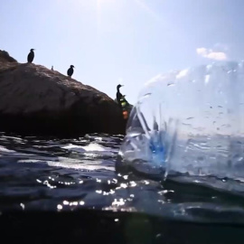 Día Mundial de los Océanos: ni guantes ni mascarillas al mar