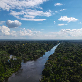 Vista desde un dron del río Jaraua, en la Reserva de Desarrollo Sostenible Mamiraua en el estado de Amazonas, Brasil, el 28 de junio de 2018.- MAURO PIMENTEL / AFP