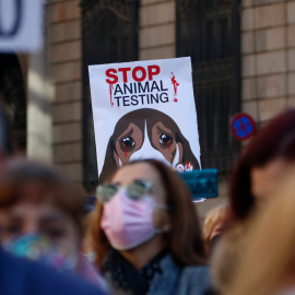 Centenars de persones han participat en la concentració per reclamen la suspensió de l'experiment amb cadells de gos de la UB amb Vivotecnia.