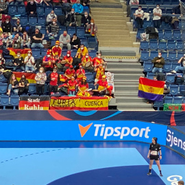 Imagen del momento en el que Ernesto Sarabia exhibe la bandera tricolor en el mundial de Balonmano masculino