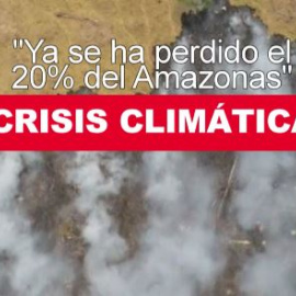 Crisis climática: "Ya se ha perdido el 20% del Amazonas"