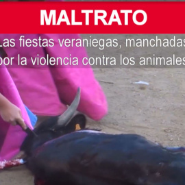 Maltrato animal, verano sangriento