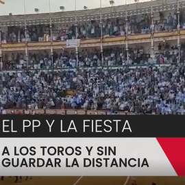 A los toros sin guardar la distancia de seguridad