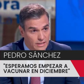 Pedro Sánchez espera que en diciembre se empiece a vacunar a una parte de la población