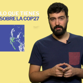 Todo lo que tienes que saber sobre la COP27, la Cumbre del Clima de Egipto