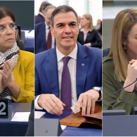 Incredulidad y risotadas ante la irrupción de un perro en el Parlamento Europeo.