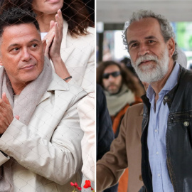 Alejandro Sanz y Guillermo Toledo en dos imágenes de archivo.- EUROPA PRESS